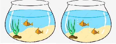PEIXE1.jpg