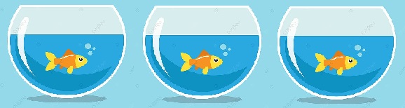 PEIXE2.jpg